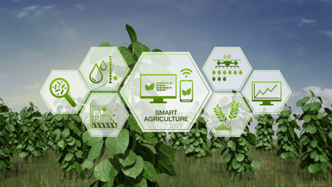 Smart Farming IoT