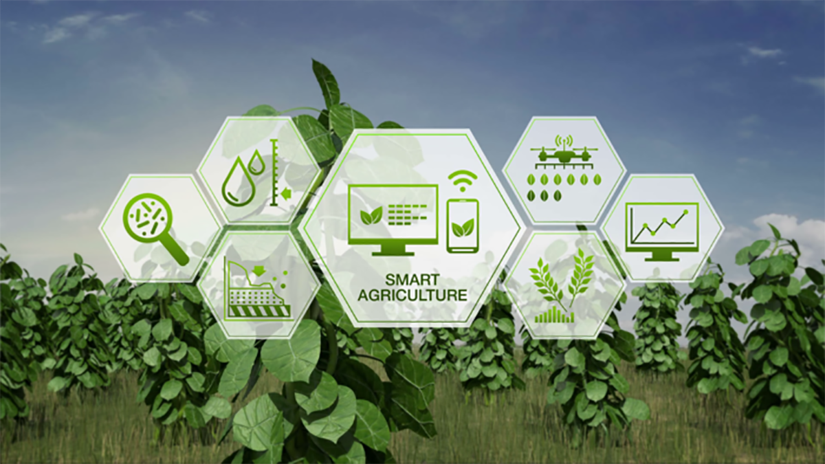 How The IoT Is Transforming The Future Of Agriculture Cassia Networks how-the-iot-is-transforming-the-future-of-agriculture-cassia-networks