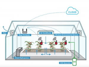 How the IoT is Transforming the Future of Agriculture - Cassia Networks